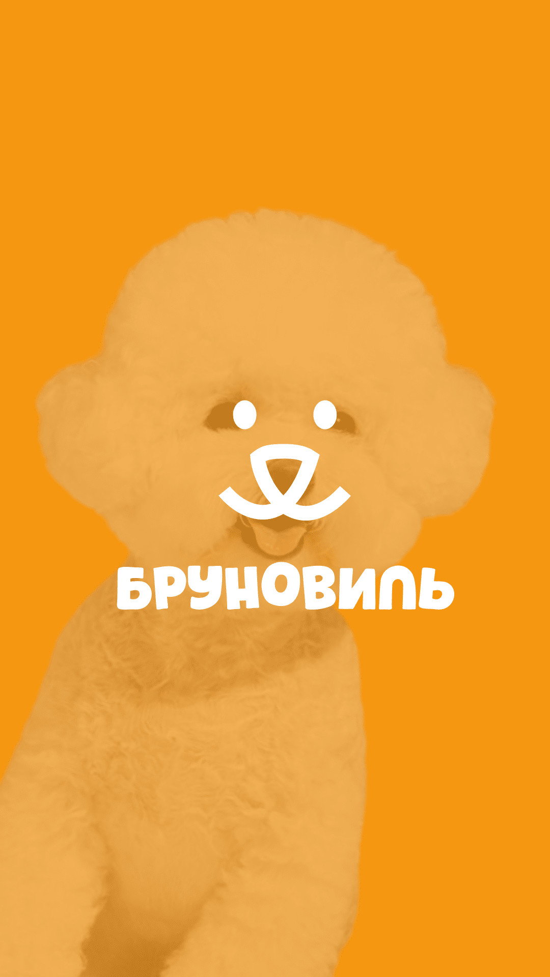Разработка логотипа — студия Avangard
